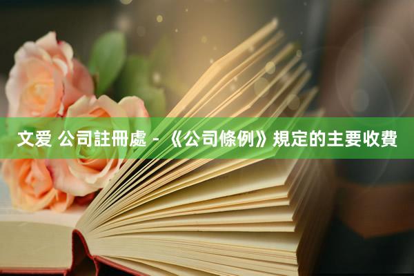 文爱 公司註冊處 - 《公司條例》規定的主要收費