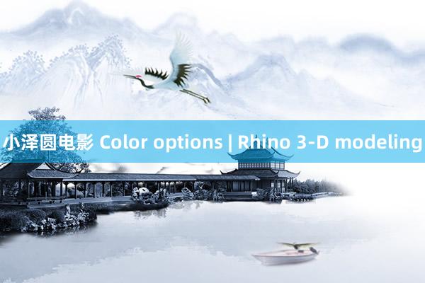 小泽圆电影 Color options | Rhino 3-D modeling