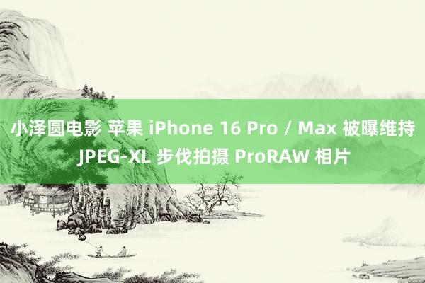 小泽圆电影 苹果 iPhone 16 Pro / Max 被曝维持 JPEG-XL 步伐拍摄 ProRAW 相片