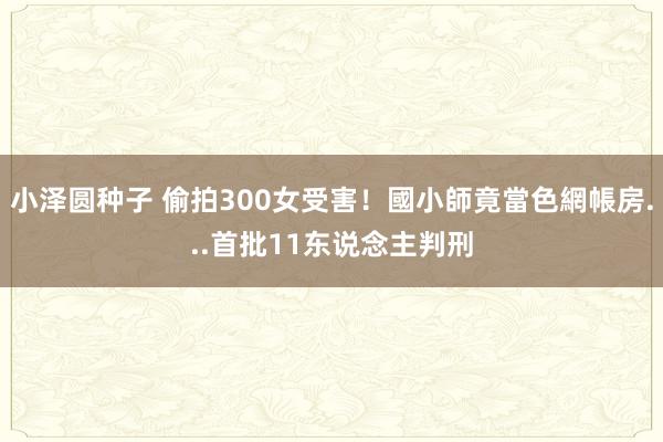 小泽圆种子 偷拍300女受害！國小師竟當色網帳房...首批11东说念主判刑