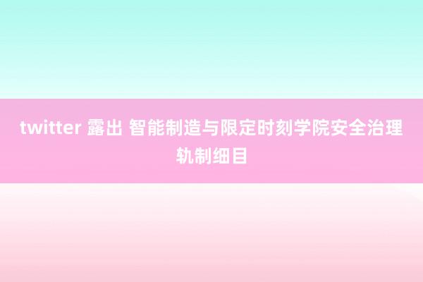 twitter 露出 智能制造与限定时刻学院安全治理轨制细目