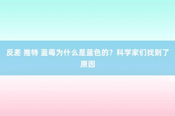 反差 推特 蓝莓为什么是蓝色的？科学家们找到了原因