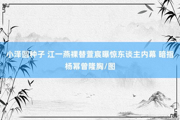 小泽圆种子 江一燕裸替萱宸曝惊东谈主内幕 暗指杨幂曾隆胸/图