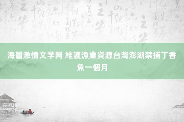 海量激情文学网 維護漁業資源台灣澎湖禁捕丁香魚一個月