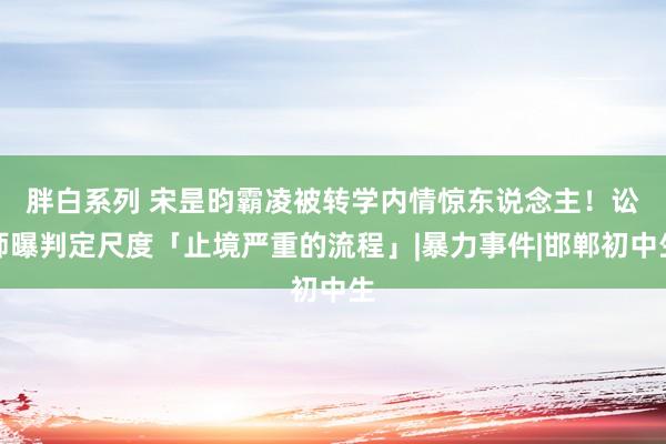 胖白系列 宋昰昀霸凌被转学内情惊东说念主！　讼师曝判定尺度「止境严重的流程」|暴力事件|邯郸初中生