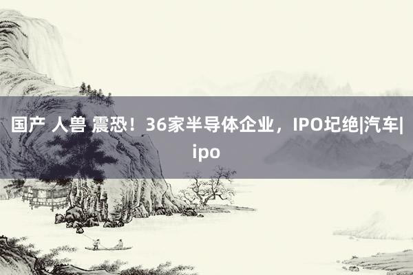 国产 人兽 震恐！36家半导体企业，IPO圮绝|汽车|ipo