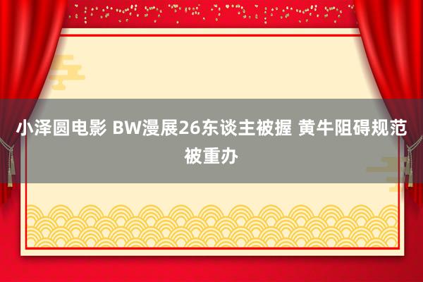 小泽圆电影 BW漫展26东谈主被握 黄牛阻碍规范被重办