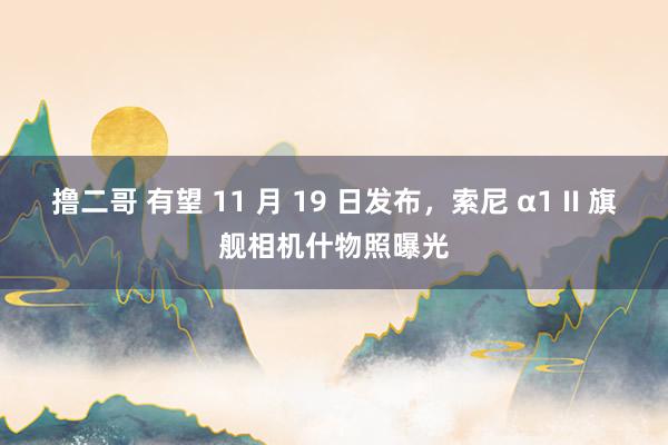 撸二哥 有望 11 月 19 日发布，索尼 α1 II 旗舰相机什物照曝光