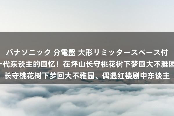 パナソニック 分電盤 大形リミッタースペース付 露出・半埋込両用形 一代东谈主的回忆！在坪山长守桃花树下梦回大不雅园、偶遇红楼剧中东谈主