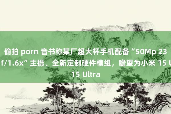 偷拍 porn 音书称某厂超大杯手机配备“50Mp 23mm f/1.6x”主摄、全新定制硬件模组，瞻望为小米 15 Ultra