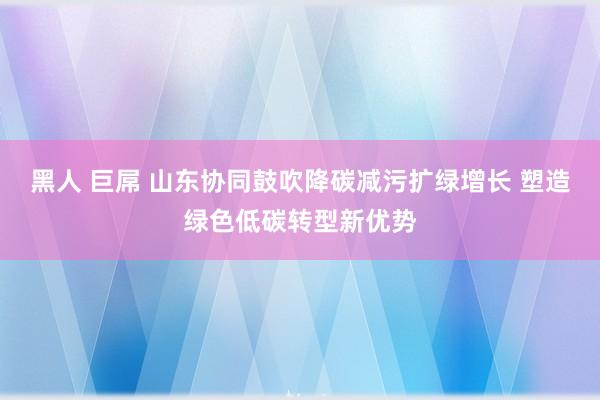 黑人 巨屌 山东协同鼓吹降碳减污扩绿增长 塑造绿色低碳转型新优势