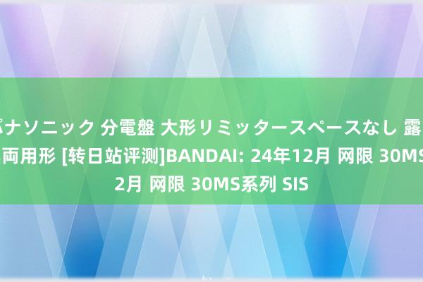 パナソニック 分電盤 大形リミッタースペースなし 露出・半埋込両用形 [转日站评测]BANDAI: 24年12月 网限 30MS系列 SIS